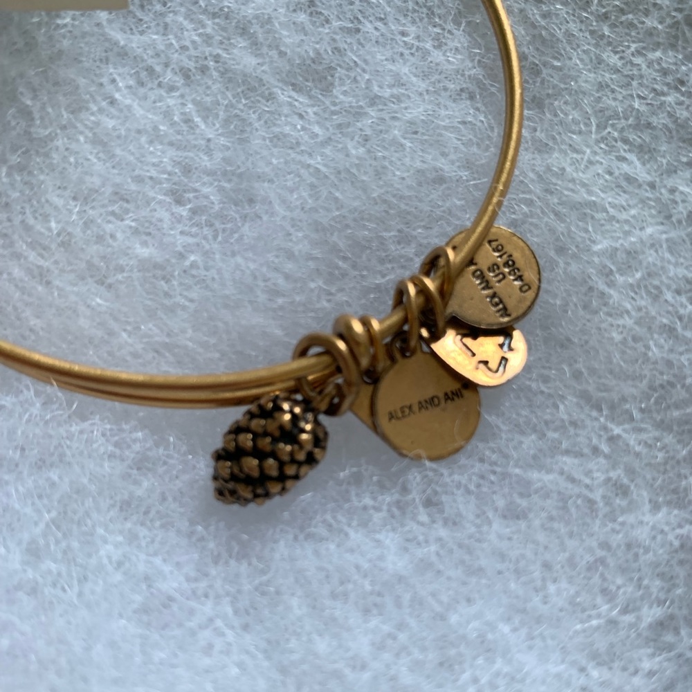 Alex and Ani pine cone  bracelet